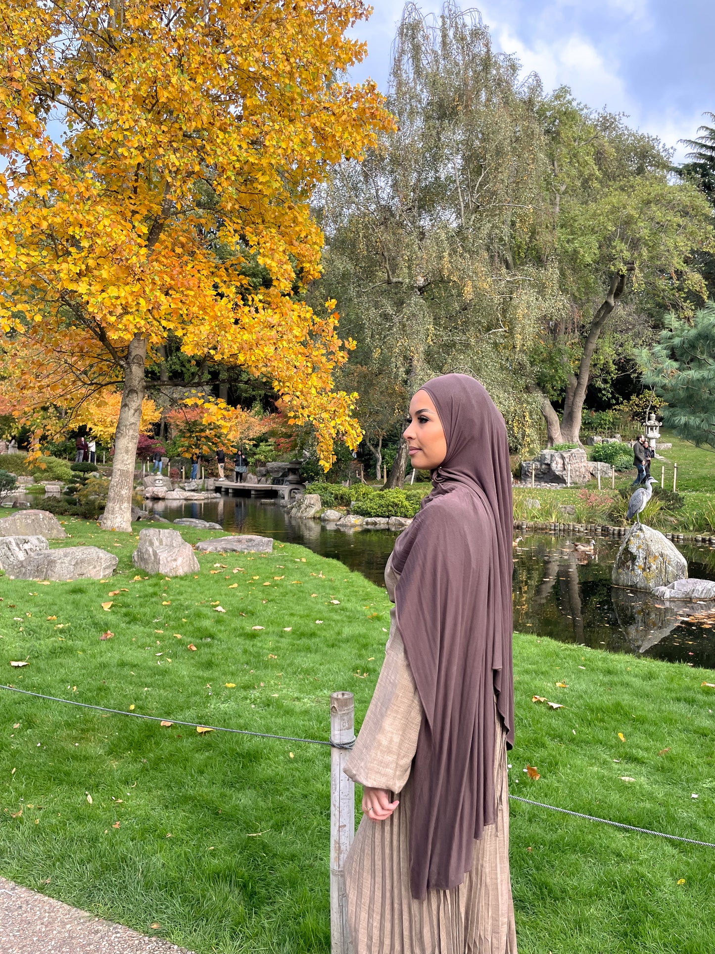 Camel Colour Pleated Set